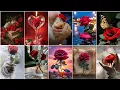 Rose wallpaper photo Flower wallpaper photos for whatsapp dp pic flower photo Rose