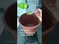 Download Lagu CHÃO MANCHADO NUNCA MAIS! Misturinha caseira para deixar piso brilhando e cheiroso ✨