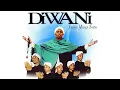 Download Lagu Diwani - Subhanallah karaoke Official MP3