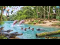 Lagu 🌊 Ocean Wildlife 4K | Peaceful River Documentary | Calm Underwater Wildlife | Relaxing Piano Sounds