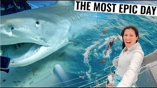 RESCUE AT SEA AFTER EPIC TIGER SHARK ENCOUNTER | Sailing & Fishing