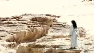 بشاير القلب ولهان ينادي 