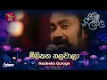 Lagu Mihikatha Nalawala | මිහිකත නලවාලා | Nadeeka Guruge | Piyum Neela Vila | Roo Tunes