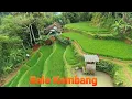 Download Lagu DEGUNG SUNDA PALING MENYENTUH \