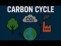Carbon cycle explained in 3D animation