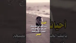 احيانا ياتيك الحسد على شكل نصيحه   حالات واتس اب      دندنها