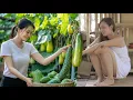 Download Lagu Green Life: Harvesting Strange Gourds for Market Sale – Wild Jungle Survival Challenge!