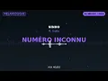 Numéro Inconnu - Voix Mêlées