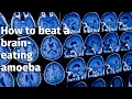 How to beat a brain-eating amoeba