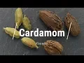 All About Cardamom