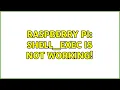 Raspberry Pi Shell - exec is not working 2 Solutions