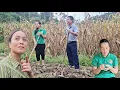 Download Lagu She found out she was pregnant when her husband went missing, her mother-in-law suspected her