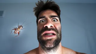 4 Experiments I Had to QUIT...