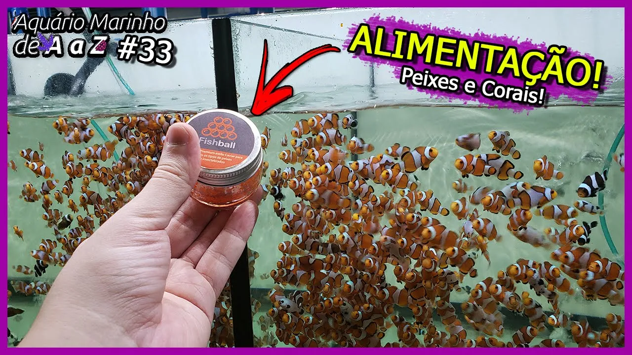 TUDO Sobre Alimentação de PEIXES e CORAIS! - Aquário Marinho de A a Z #33
