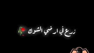 حالات واتس لمهرجان شوفت يا فردة دندنها