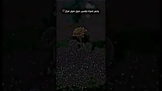 ستوري شعر ستوريات انستا حزين حالات واتساب حزينه ستوريات انستا هدوء اقتباس  ستوري شعر ستوريات انستا حزين حالات واتساب حزينه ستوريات انستا هدوء اقتباس
