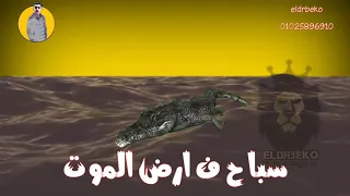 حاله من مهرجان كبار الجيها لمودي امين جاحده      دندنها
