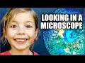 Microscope For Kids - Fun with Science