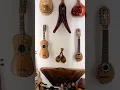 Lagu Antique Mexican stringed instruments Playa del Carmen Mexico museum life #churrango #guitar #culture