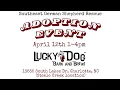 Southeast German Shepherd Rescue - Adoption Event
