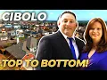 CIBOLO TEXAS Map Overview Your Ultimate Moving Guide To Cibolo Texas San Antonio Texas Realtor