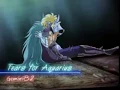 AMV  Saint Seiya -Tears for Aquarius