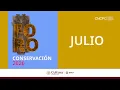 July Conservation Forum