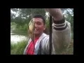 Download Lagu kail1 -mancing Papuyu di desa Puntik Marabahan Batola Kalsel
