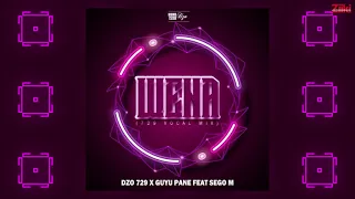 dzo 729 u0026 guyu pane wena ft sego m audio visual 