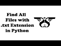 91 How to Search Files with txt Extensions in Python with Code glob and os Module