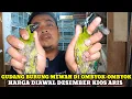 GUDANG BURUNG MEWAH DIOMBYOK-OMBYOK!!! HARGA BURUNG DIKIOS ARIS PASAR BURUNG PRAMUKA HARI INI
