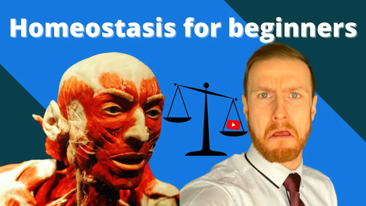 HOMEOSTASIS Fundamentals AQA A-Level Biology