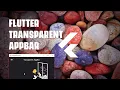 Flutter Transparent AppBar - Flutter Tutorials for beginners