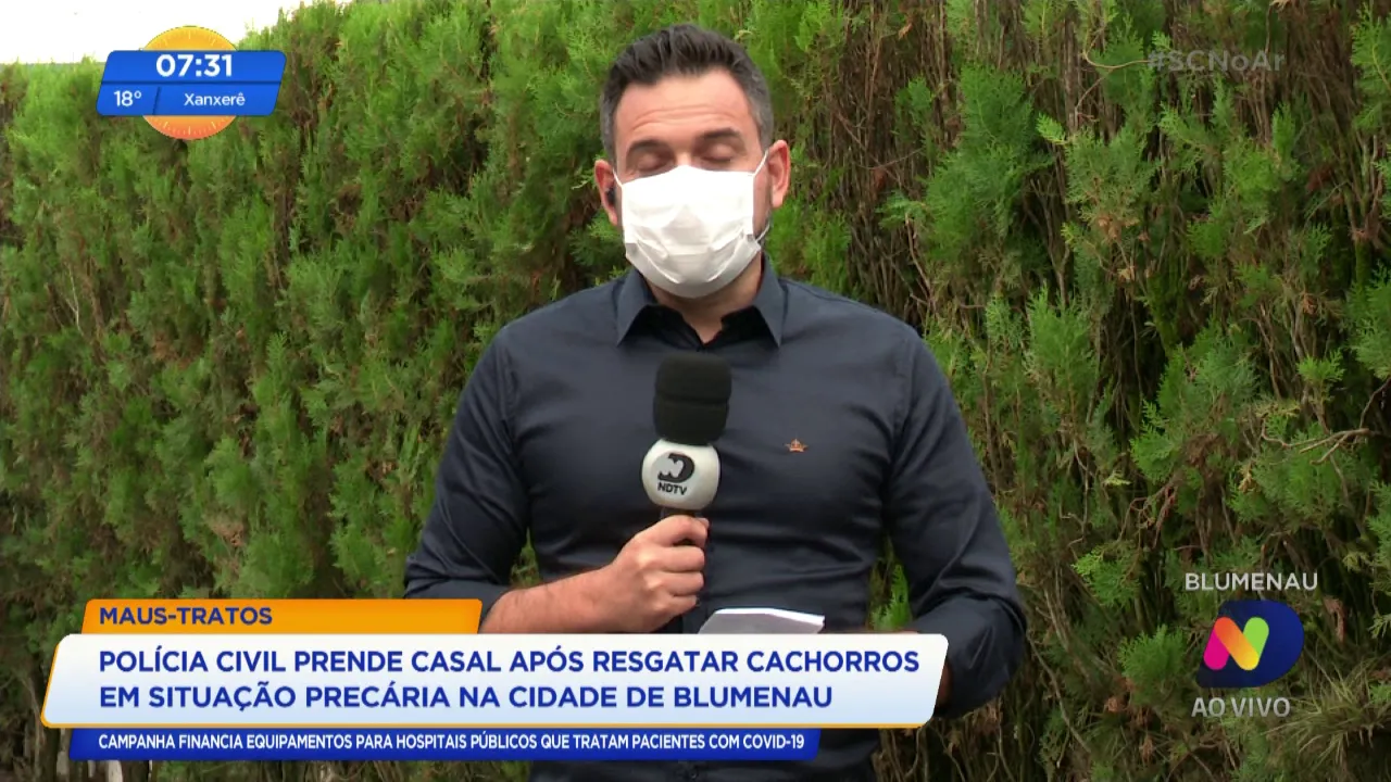 Polícia Civil prende casal após resgatar cachorros em situação precária na cidade de Blumenau
