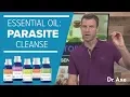 Parasite Cleanse The Best Essential Oils