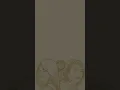 MYMP - Crazy For You (Vertical Lyric Video)
