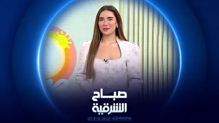 أكثر من 70 قطة تتنافس على لقب ملكة جمال السليمانية | صباح الشرقية