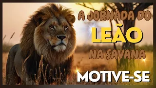 A JORNADA DO LEÃO NA SAVANA AFRICANA, MOTIVE-SE.