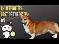 Life Pro Tips Best Of The Week