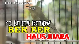 Download BER BER LEHER BETON \ MP3