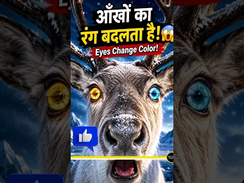 इस जानवर की आँखों का रंग मौसम के साथ बदल जाता है! 😱🦌 #shorts