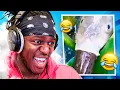 Try Not To Laugh Inappropriate Edition