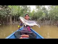 Download Lagu BERUNTUNGNYA PEMANCING INI MENEMUKAN SPOT SURGANYA IKAN TOMAN