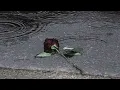 Seneen - Tul8te (Slowed)