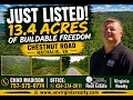 13 4 Acres of Buildable Freedom in Halifax County Virginia