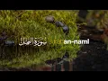 Download Lagu Surah An-Naml سورة النمل في شيخ حني رفاعي | Tadabbur Daily