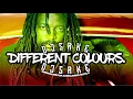 Dj Sake - Lucky Dube Different Colours