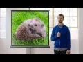 iiNet NBN -