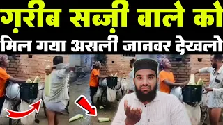 आपने ऐसा जानवर आज तक नहीं देखा होगा लो देखलो 🔥