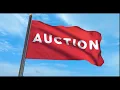 Live Auto Auction Today